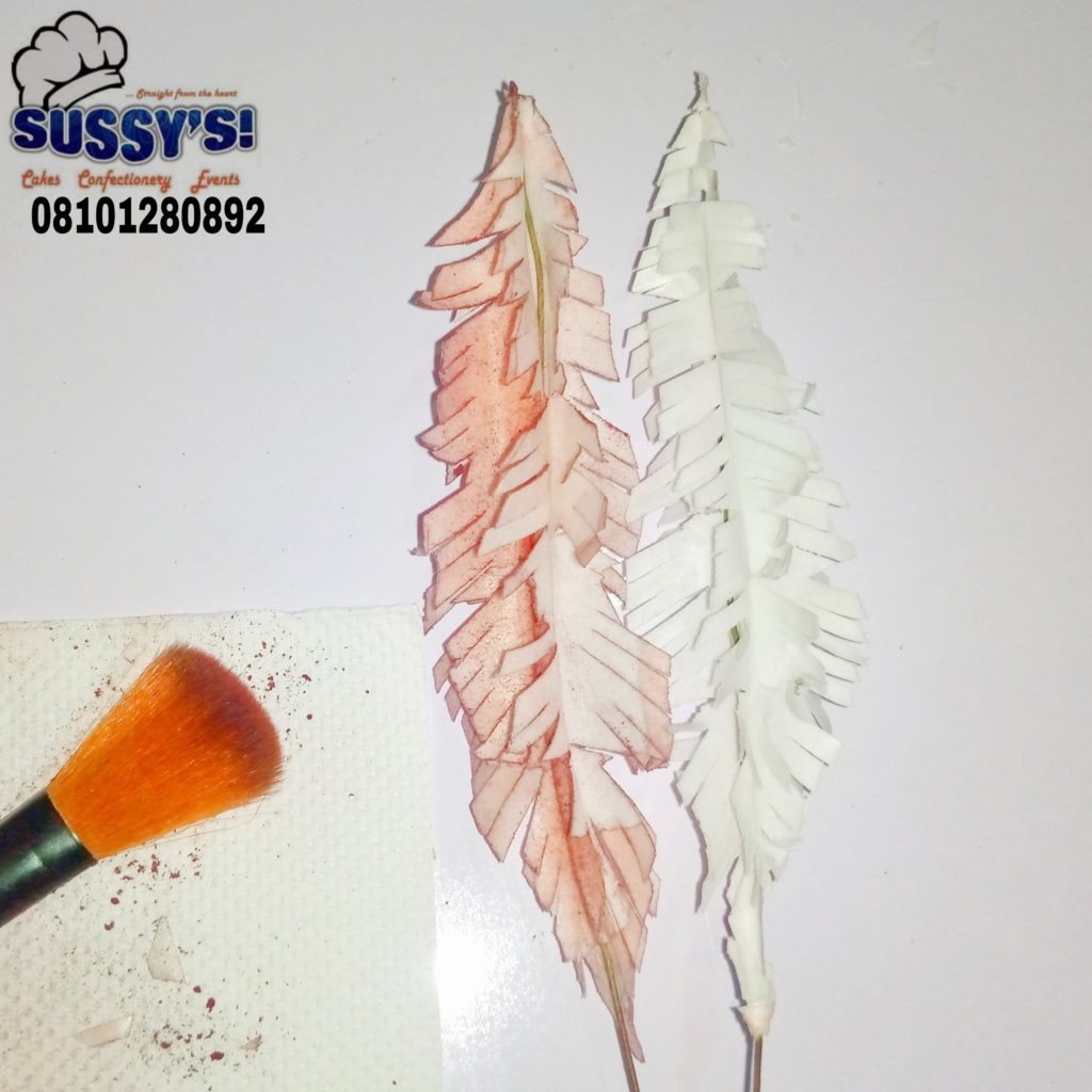 Wafer Paper Feathers 